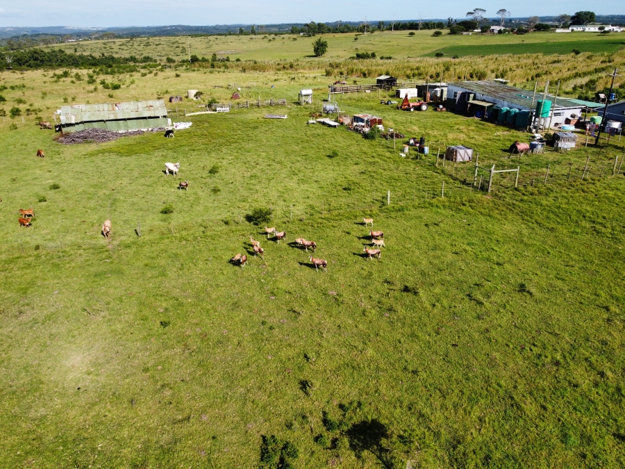 3 Bedroom Property for Sale in Kidds Beach Eastern Cape